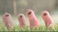 Czarny punkt - krótka animacja