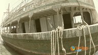 Zapomniany Kuter - Marsa Alam - Best Divers