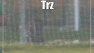 Trzech zawodników może opuścić w zimie Świdniczankę