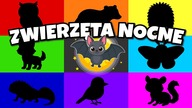 Zwierzęta nocne - Bajka edukacyjna - Film edukacyjny nocnych zwierzętach