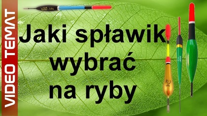 Jaki spławik wybrać na ryby