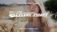 Dress x PlanBe - Prosto w moje ręce (Dj@WiSNIA Blend)
