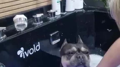 Pierwsze wiosenne masaże w ozonie.