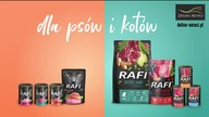 Polsat- Pogoda (26. 04. 2023)