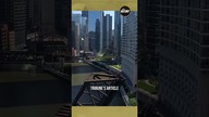 You Wont Believe Whats on Goose Island!  Swipe left to discover more