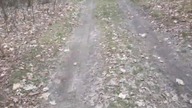 Zdjęcien dzień 1