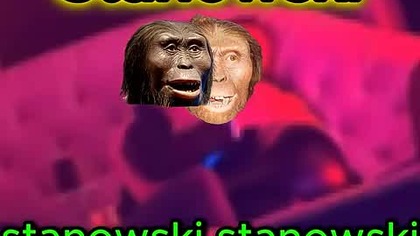 Stanowski | Anonimes #mem #śmieszne #stanowski #kanałzero #mazurek #krzysztofstanowski