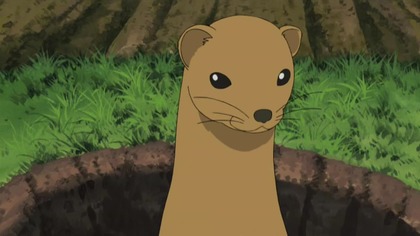 Naruto Shippuuden 113 lektor pl