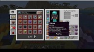 Well, there are some quite remarkable fish in the ocean #minecraft #Patrol #Short #Shorts #Game