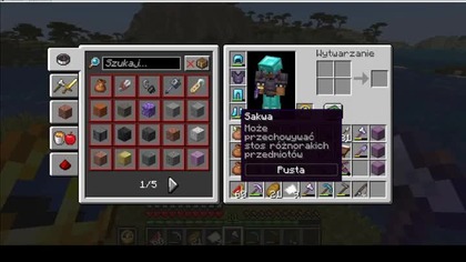 Well, there are some quite remarkable fish in the ocean #minecraft #Patrol #Short #Shorts #Game