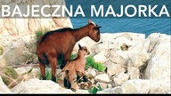 BAJECZNA MAJORKA zimą