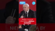 Niemcy chcą by Kaczyński zbierał szparagi #shorts