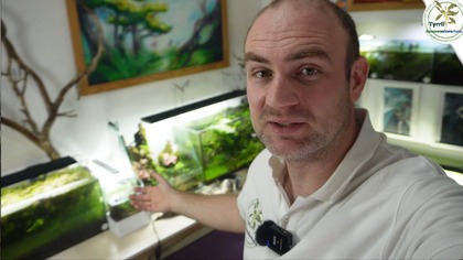  Zapraszam was do mnie  Moja galeria akwarystyczna.