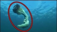 10 PRZERAŻAJĄCYCH FILMÓW nagranych przez NURKÓW!