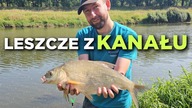 605 POŁOWIONE NA KANALE! BIAŁE ROBAKI ZROBIŁY ROBOTĘ! KLASYCZNY FEEDER W MIEŚCIE - WROCŁAW