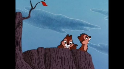Kaczor Donald Chip i Dale PL