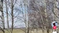 co to znaczy, że ty już nie chcesz? #music #dance #song #winter
