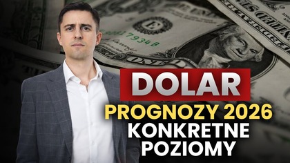 DOLAR: waluty pokazały coś, o czym się nie mówi.  Prognozy na 2026 rok