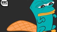Gdzie jest pepe?! (FANFICTION)