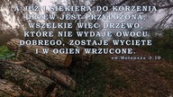 Audycja Wyzwolony - Bobby Clampet