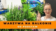 17 wskazówek jak założyć ogród warzywny na balkonie.  WARZYWA i ZIOŁA na balkonie dla POCZĄTKUJĄCYCH