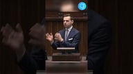 KULESZA o programie KORYTO+.  Nokaut PIS-u w Sejmie...  #shorts