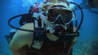 Błękitna głębia 2: Rafa (2009) [Lektor PL] - Into the Blue 2