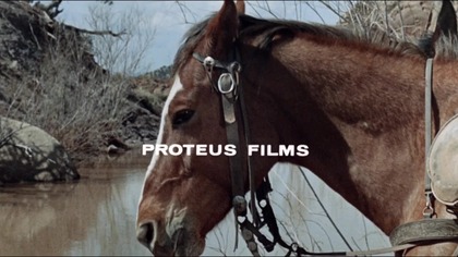 W.  poszukiwaniu zemsty.  1966.  Lektor.pl .  1,western