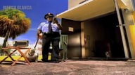WHO LET THE DOG OUT? - Marca Blanca