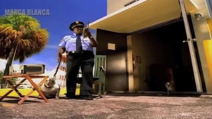 WHO LET THE DOG OUT? - Marca Blanca