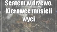 Seatem w drzewo.  Kierowcę musieli wycinać z wraku