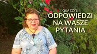 10 milionów - Pytania i odpowiedzi (część 1)