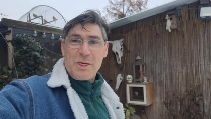 Kanarki, kurczaki i inne ptaki *Lęgi trwają * 2. 01. 2026