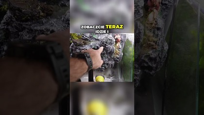 Ta MGŁA zmienia wszystko!  Fogger w akcji