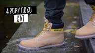 4 pory roku CAT - Colorado Jesień