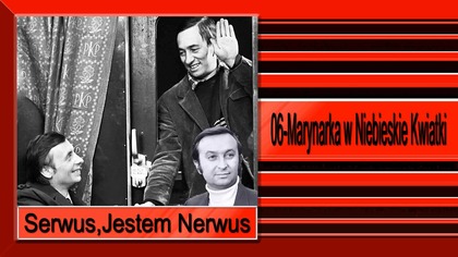 27. Serwus,Jestem Nerwus-06-Marynarka w Niebieskie Kwiatki