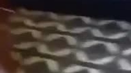 Dowcipna mama 
