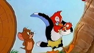 Tom i Jerry 44 (Dubbing PL)