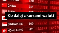Najgorsze jest już za złotym? Co dalej z dolarem, euro i frankiem?