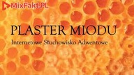 PLASTER MIODU  Odcinek 29  Swieta Rodzina