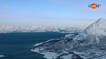 Orki.  Norweska uczta.  (2020) lektor