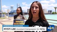 PETA: jak niszczy zwierzęta i świat?