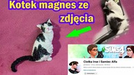 Biały kot Ciotki Irse i Samca Alfa | Fimo | Polymer clay