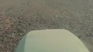6620 znowu zadziwia