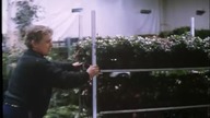 Polska Kronika Filmowa nr 10 z 1994 r.  – Zapach pieniędzy, Raz do roku, Nowe zawody Łowca głów, Kierunek Bośnia