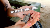 W poszukiwaniu ŻÓŁWI MORSKICH  / Sri Lanka SPECIAL cz.  1