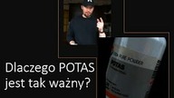 Potas - szef wszystkich szefów ?