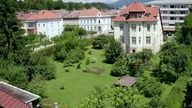 Barwny świat ptak&oacute;w ogrodowych