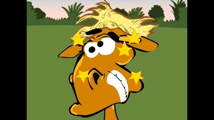 KOŃ RAFAŁ (HD) - Gwiazdki, Jeż, Niedziela