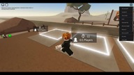 roblox !!!